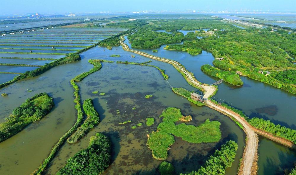 廣州市林業(yè)和園林局：勇當(dāng)綠美廣東排頭兵打造綠美生態(tài)建設(shè)廣州樣板(圖9)