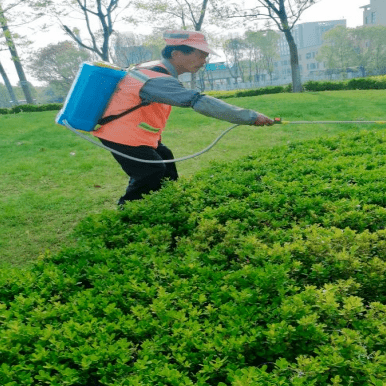 堅持精細化管理 打造有“顏”園林城市 嘉興科技城（南湖高新區）推出一系列“精細化”園林綠化養護管理措施(圖2)