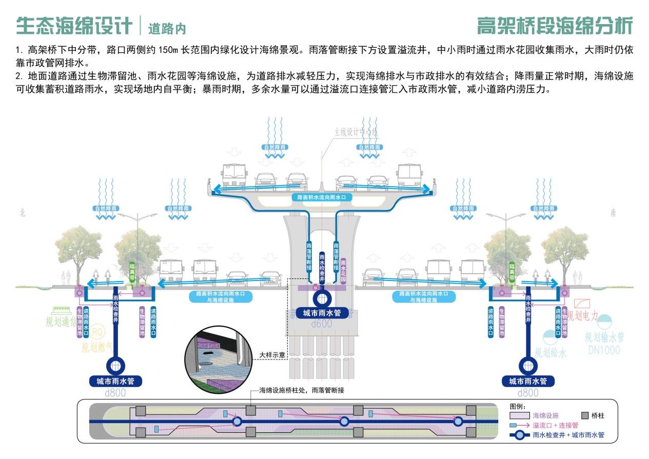 北京路快速化道路海綿設施建設與生態修復工程(圖4)