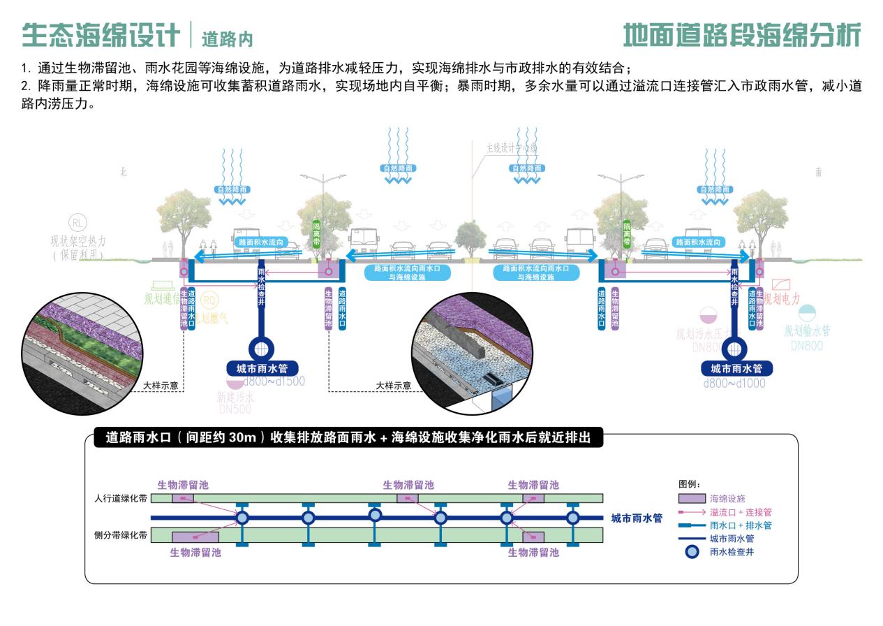 北京路快速化道路海綿設施建設與生態修復工程(圖5)